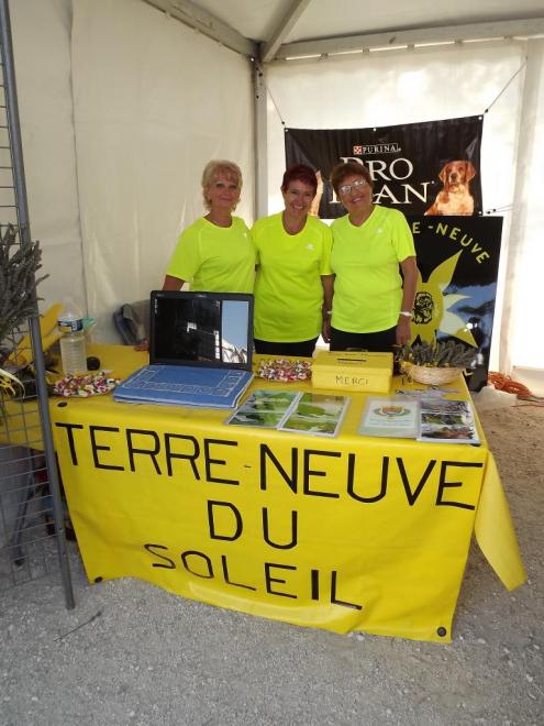 Forum des associations de Bormes 2012 (83)