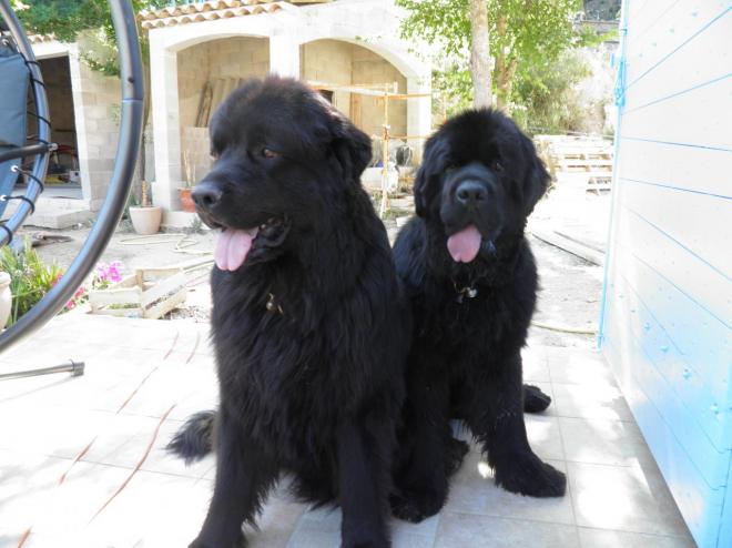 Eliot et Dasko en duo